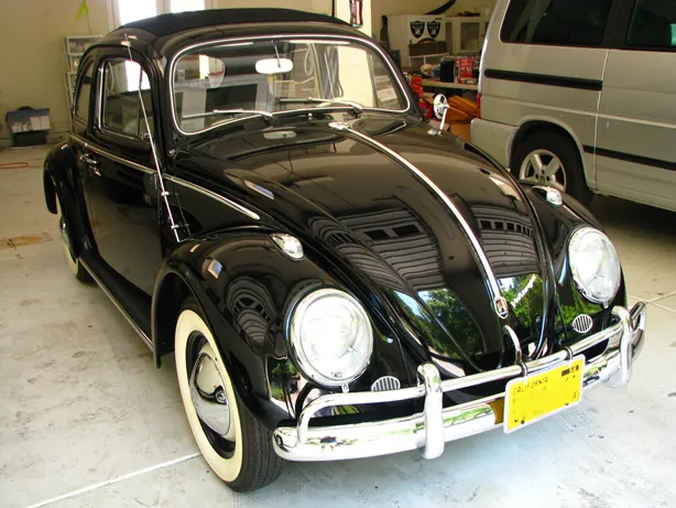 1957 VW Bug Ragtop Black Paint Correction Detail